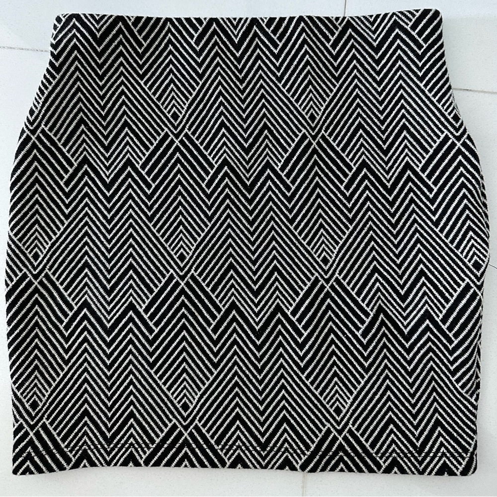 Zara Trafaluc skirt / fall winter collection Small